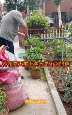 家庭养花用生根粉