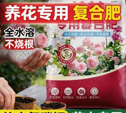 家庭养花用生根粉