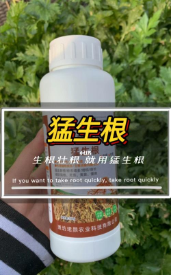 家庭养花用生根粉