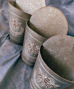 马口铁罐可以养花