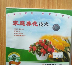 家庭养花用生根粉