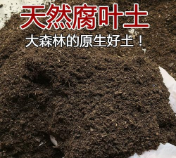 腐植土养花种菜
