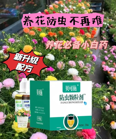 家庭养花用生根粉
