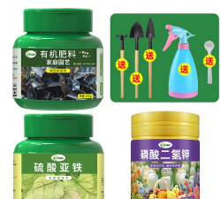 家庭养花用生根粉