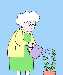 家庭养花用生根粉