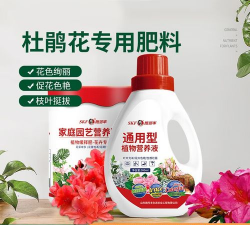 家庭养花用生根粉