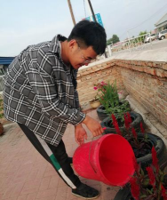 家庭养花用生根粉