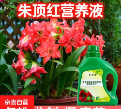 家庭养花用生根粉