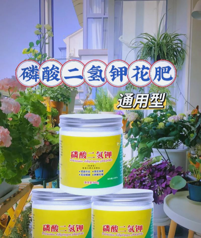 家庭养花用生根粉