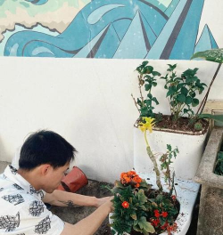 家庭养花用生根粉