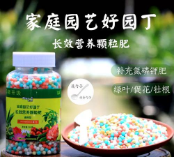 家庭养花用生根粉