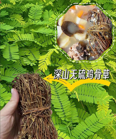 鸡骨可以养花吗