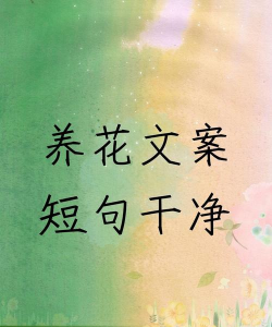 冷水养花文案短句