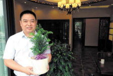 家庭养花用生根粉