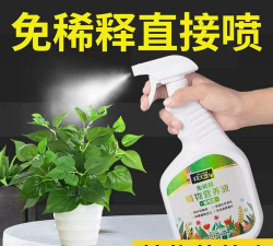 家庭养花用生根粉