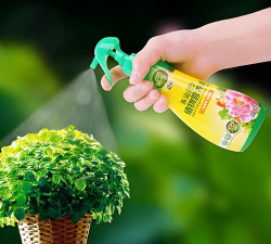 家庭养花用生根粉