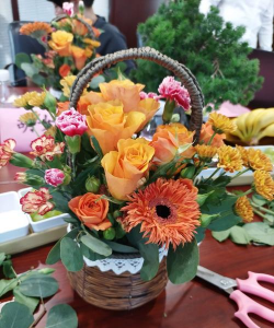 家庭养花用生根粉