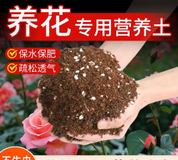 家庭养花用生根粉