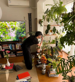 家庭养花用生根粉