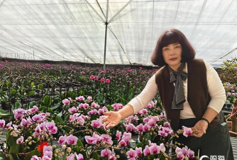 家庭养花用生根粉