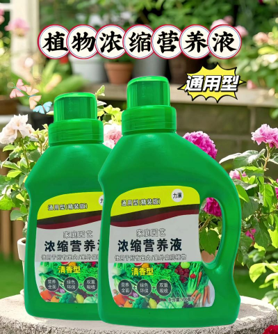 家庭养花用生根粉