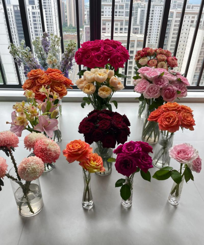 家庭养花用生根粉