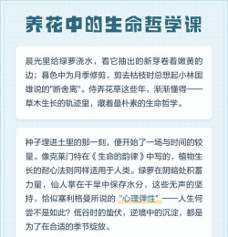 家庭养花用生根粉