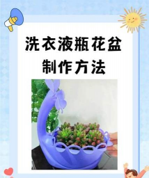 洗衣池上怎么养花