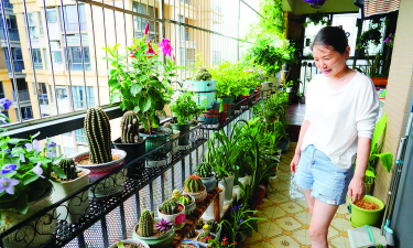 家庭养花用生根粉