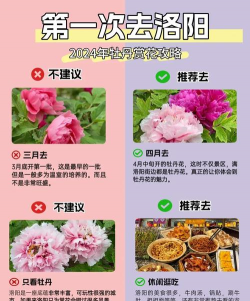 养花人如何旅游