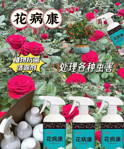 家庭养花用生根粉