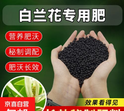 家庭养花用生根粉