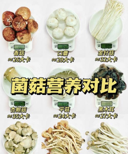 蘑菇肥养花比例