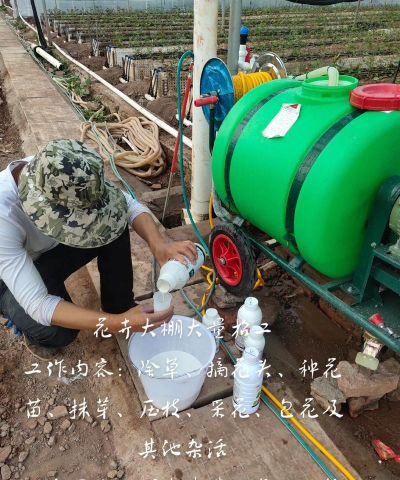 家庭养花用生根粉