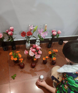 家庭养花用生根粉