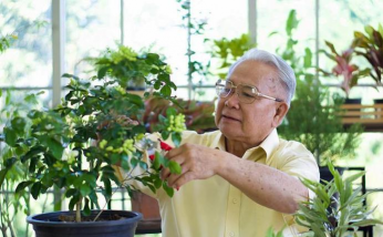 家庭养花用生根粉