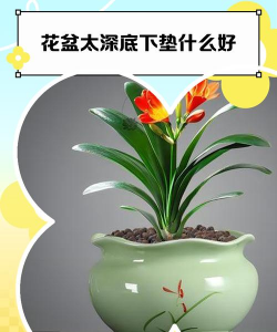 养花花盆太深