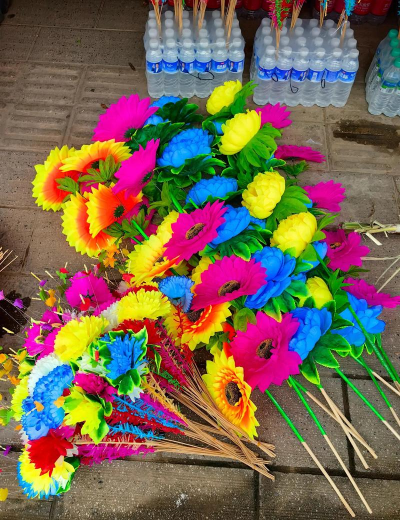 家庭养花用生根粉