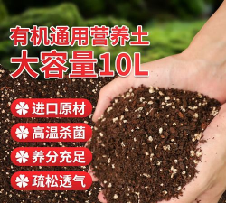 家庭养花用生根粉