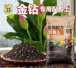 家庭养花用生根粉