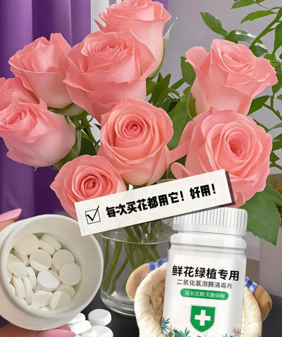 家庭养花用生根粉