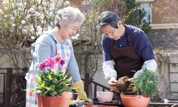 家庭养花用生根粉