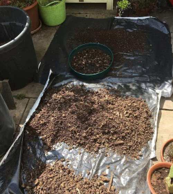 家庭养花用生根粉