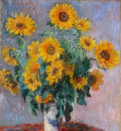 莫奈怎么养花的