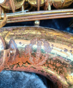 记录养花音乐萨克斯