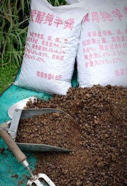 家庭养花用生根粉