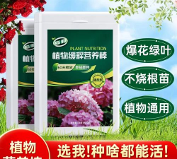 家庭养花用生根粉