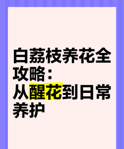 家庭养花用生根粉