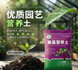 家庭养花用生根粉