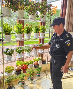 家庭养花用生根粉